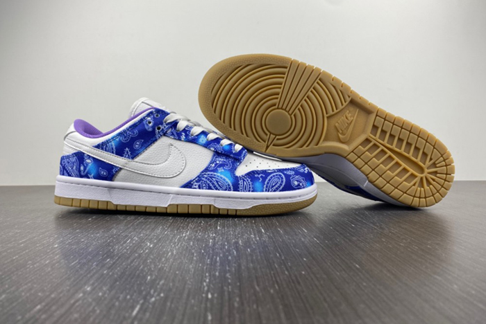 Nike SB Dunk Low Retro SP CT5053-041