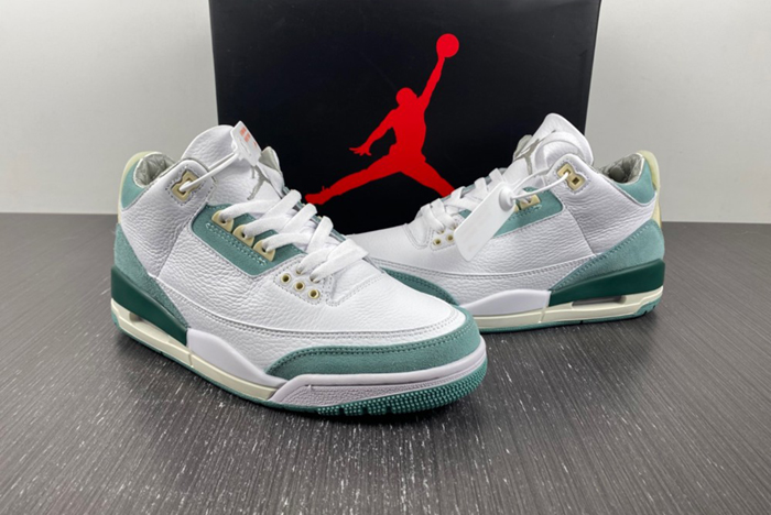 Air Jordan 3 DT8532-130