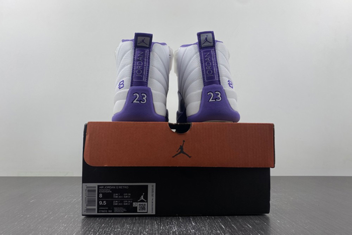 Nike Air Jordan 12 purple CT8013-150