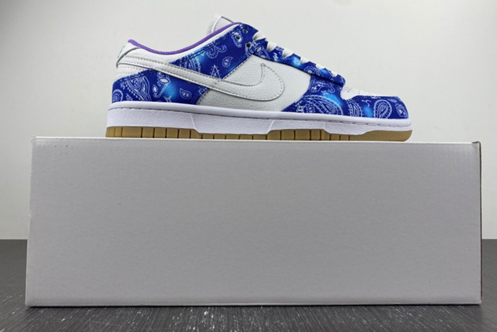 Nike SB Dunk Low Retro SP CT5053-041