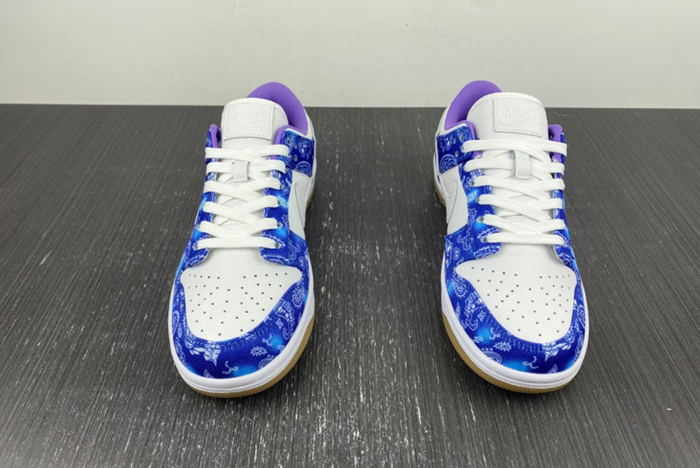 Nike SB Dunk Low Retro SP CT5053-041