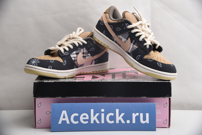 Travis Scott x Nike SB Dunk Low TS CT5053-001