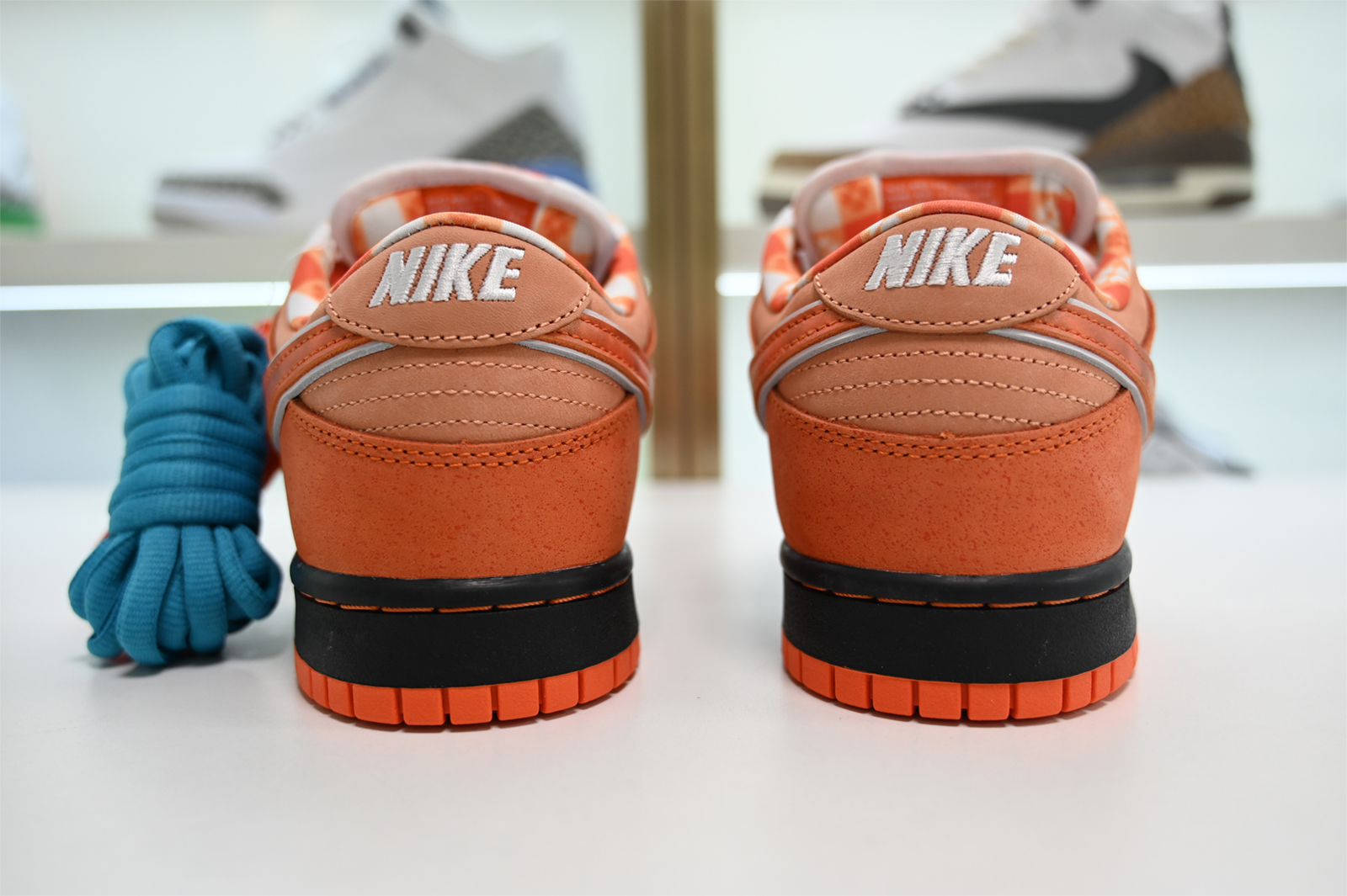 Concepts x Nike SB Dunk Low FD8776-800