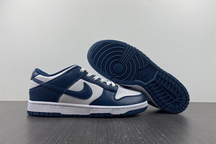 Nike dunk SB Low Retro Valerian Blue DD1391-400
