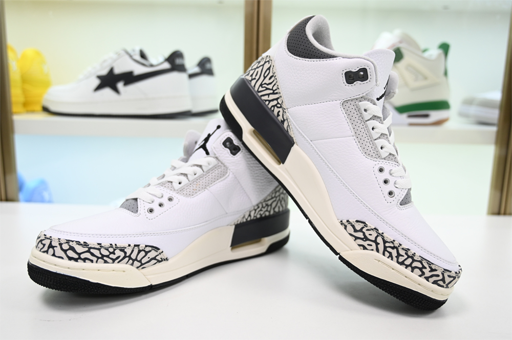 Jordan 3 Retro Hide N