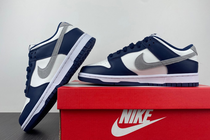 Nike Dunk Low Summit White Midnight Navy FD9749-400
