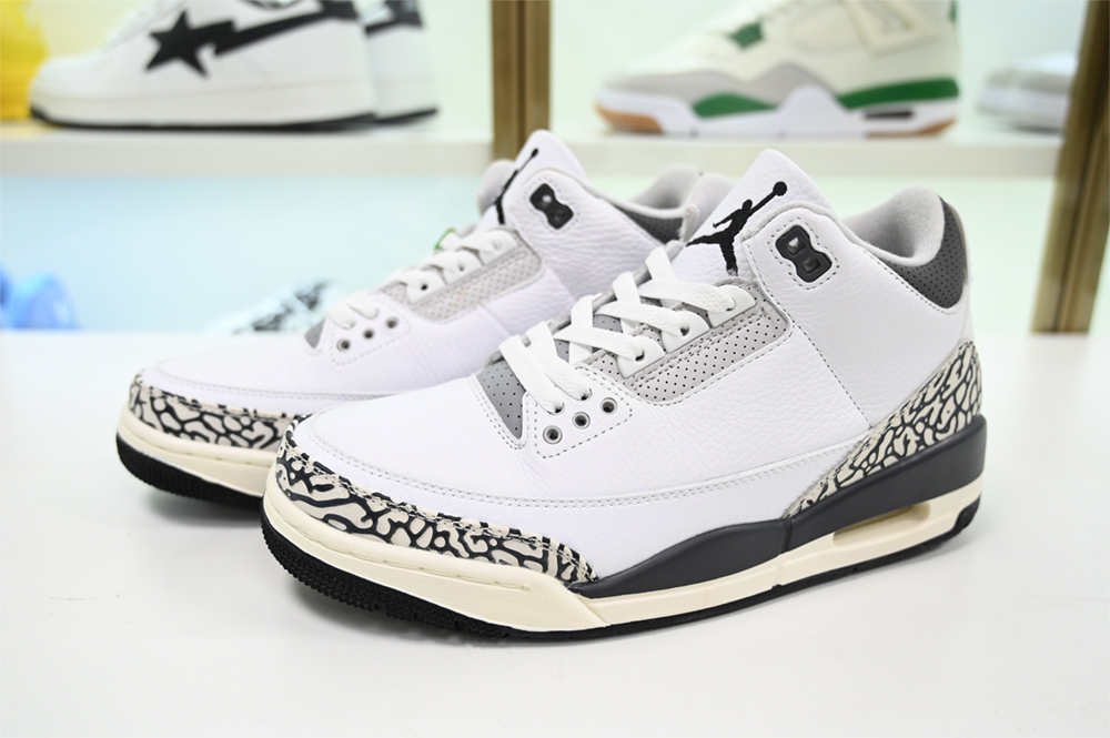 Jordan 3 Retro Hide N