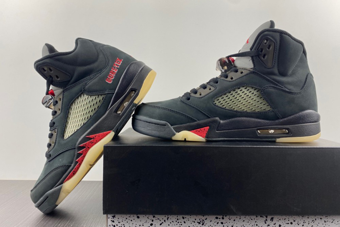 Air Jordan 5 Gore-Tex off-Noir DR0092-001