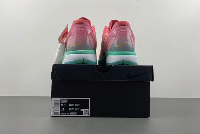 （NIKE）Zoom Kobe 6 ZK6  CM2190-201