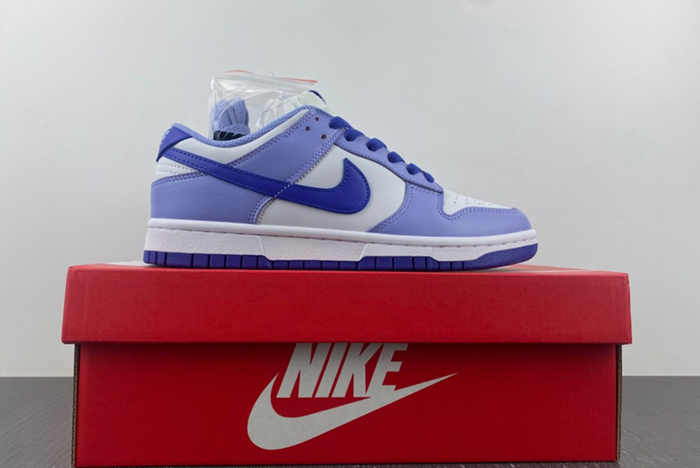 Nike Dunk Low GS “Blueberry” DZ4456-100