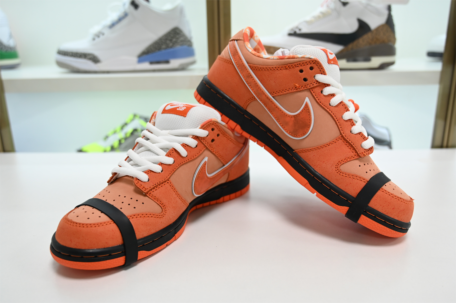 Concepts x Nike SB Dunk Low FD8776-800