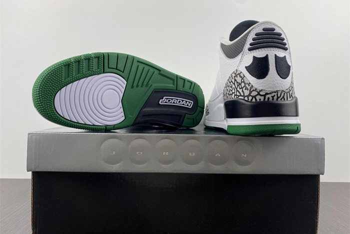 Air Jordan 3 retro oregon pitcrew 594282-233