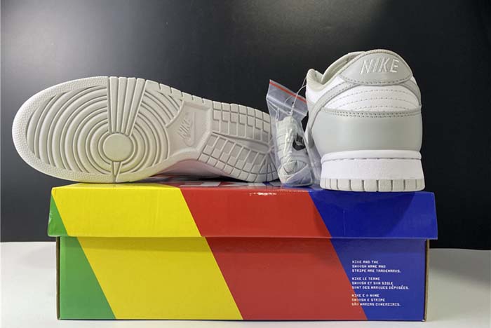 Nike SB Dunk Low Silver ash killer CU1726-201