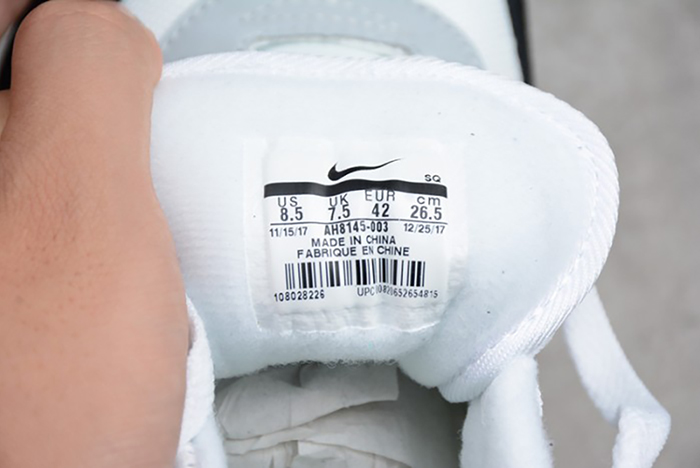 Nike Air Max 1 Wolf Grey AH8145-003