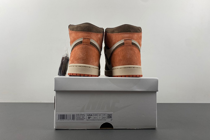 Jordan 1 Retro High OG SP Dusted Clay FQ2941-200