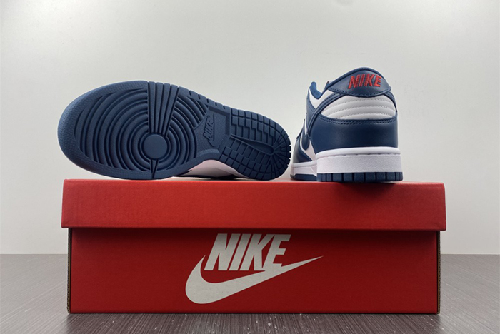 Nike dunk SB Low Retro Valerian Blue DD1391-400