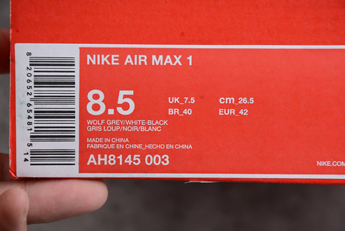 Nike Air Max 1 Wolf Grey AH8145-003