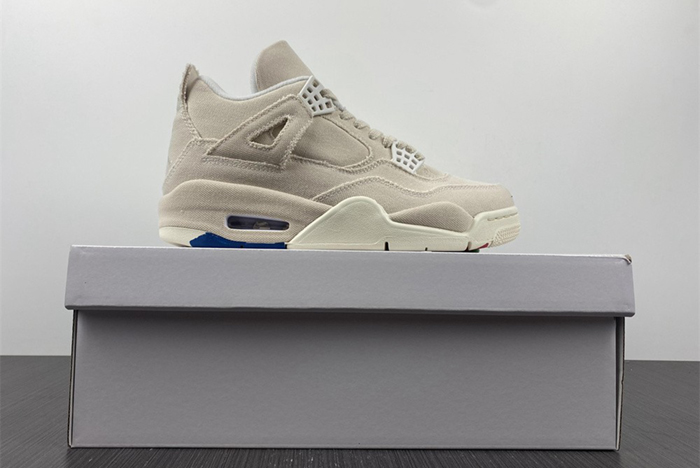 Air Jordan4 WMNS"CANVAS" DQ4909-100