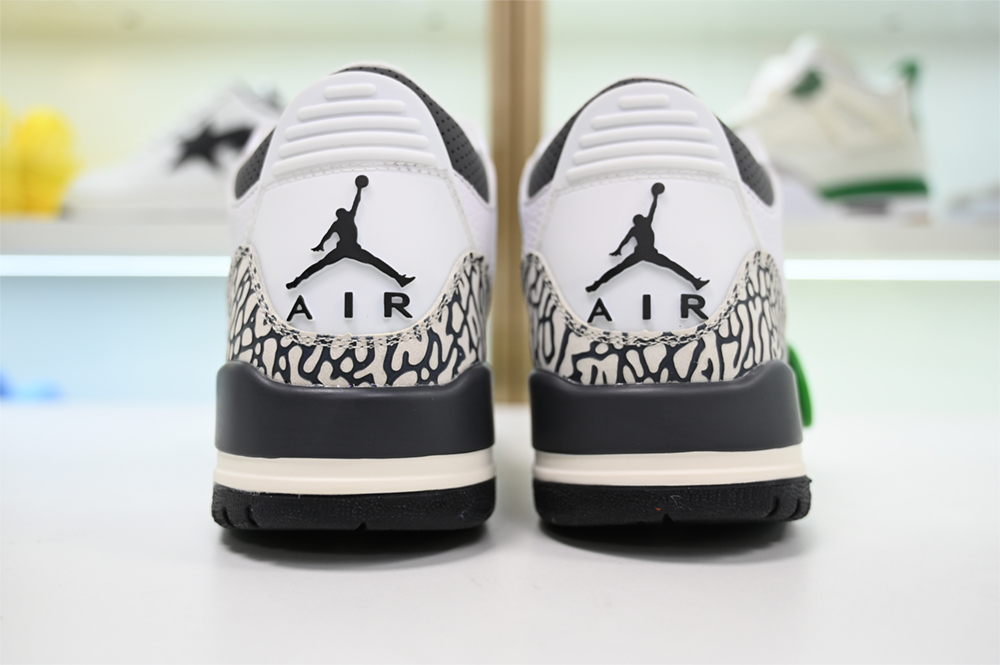 Jordan 3 Retro Hide N