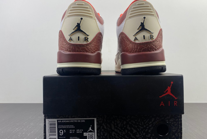 Jordan 3 Retro SE Dunk on Mars  DV7028-108