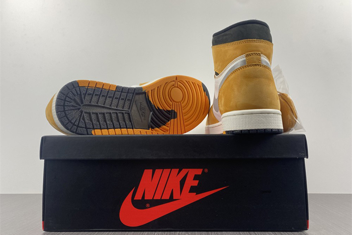 Air Jordan 1 Element Gore-Tex  "Light Curry"   DB2889-700