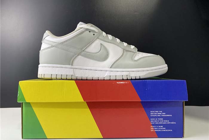 Nike SB Dunk Low Silver ash killer CU1726-201