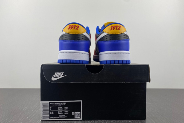 Nike Dunk Low Tennessee State University DR6190-100