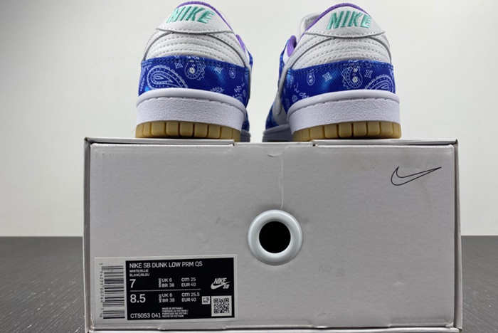 Nike SB Dunk Low Retro SP CT5053-041
