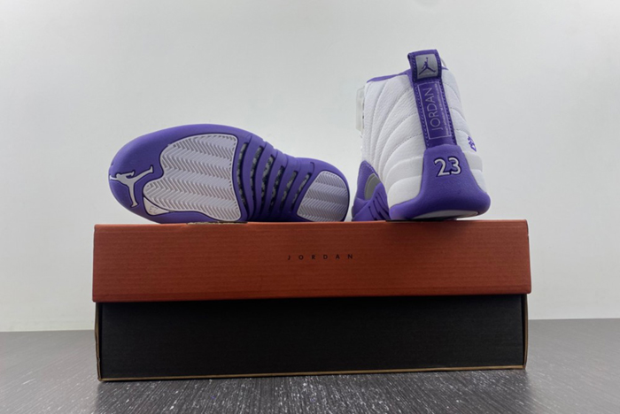 Nike Air Jordan 12 purple CT8013-150