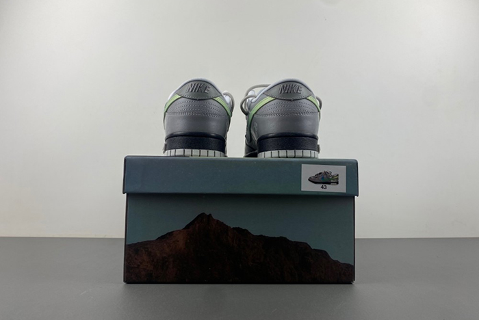 Nike Dunk LOW DV0831-101