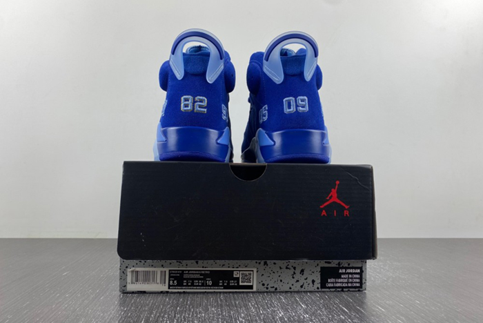Air Jordan 6 CT8529-410