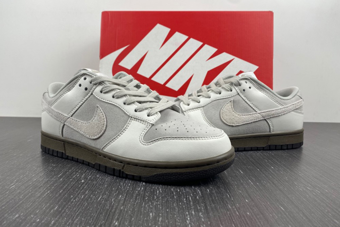 Nike Dunk Low Ironstone - FD9746-001