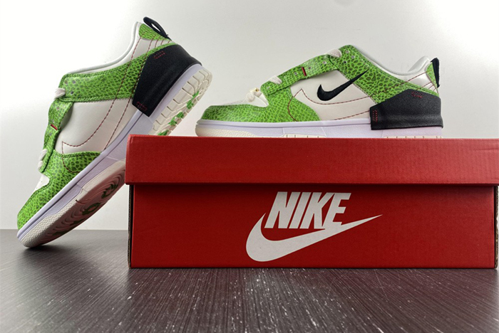 Nike Dunk Low Disrupt DV1491-101