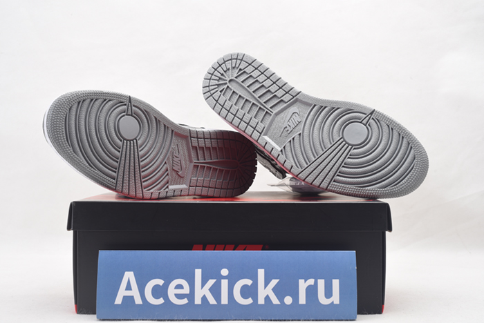 Air Jordan 1 High OG “Rebellionaire” 555088-036