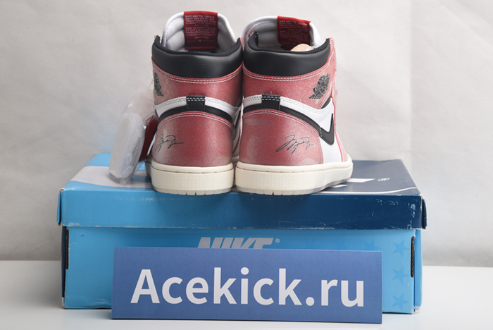 Trophy Room x Air Jordan 1 High DA2728-100