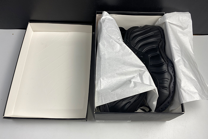 AIR FOAMPOSITE ONE 314996 001