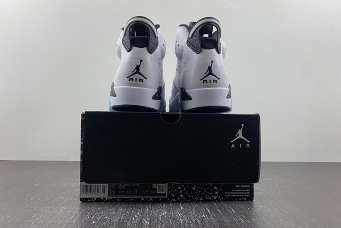 Air Jordan 6 Reverse Oreo CT8529-112