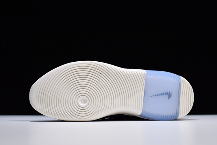 Nike Air Fear of God 1 Black AR4237-001