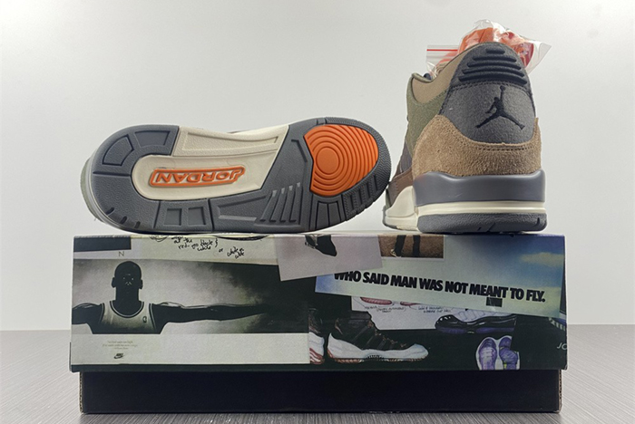 Air Jordan 3 “Camo” DO1830-200