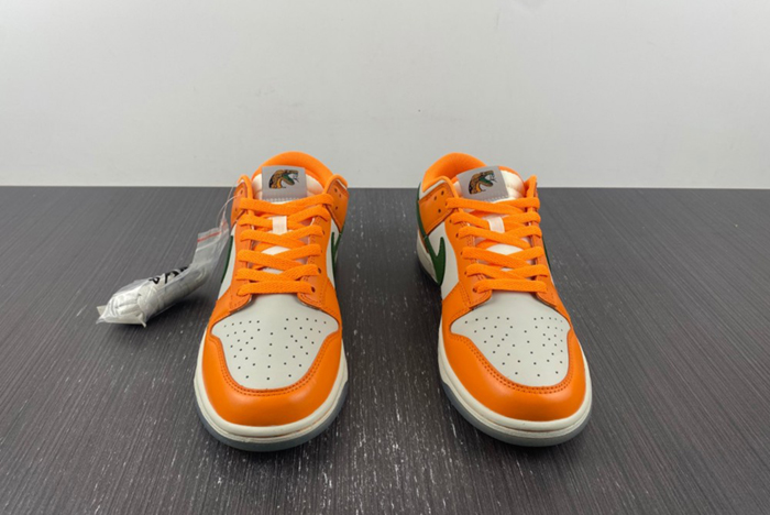 NIKE SB Dunk low FAMU DR6188-800