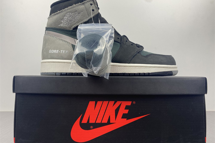 Air Jordan 1 Element Gore-Tex  DB2889-001