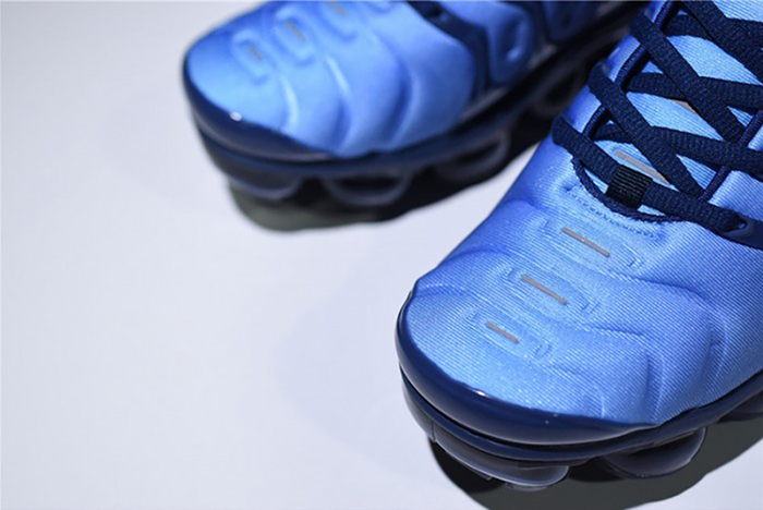 Air VaporMax Plus Obsidian - 924453-401