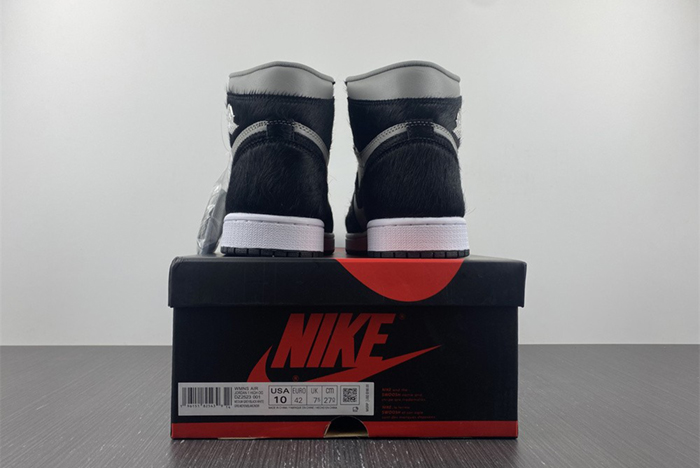 Air Jordan 1 High OG WMNS “Twist 2.0”  DZ2523-001