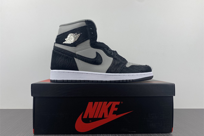 Air Jordan 1 High OG WMNS “Twist 2.0”  DZ2523-001