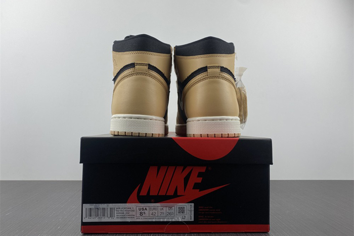 Air Jordan 1 Hig OG 555088-202