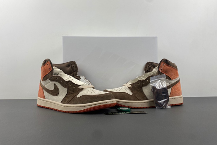 Jordan 1 Retro High OG SP Dusted Clay FQ2941-200
