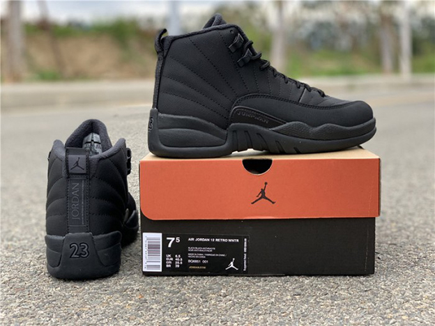 Air Jordan 12 Winterized Black Anthracite BQ6851-001