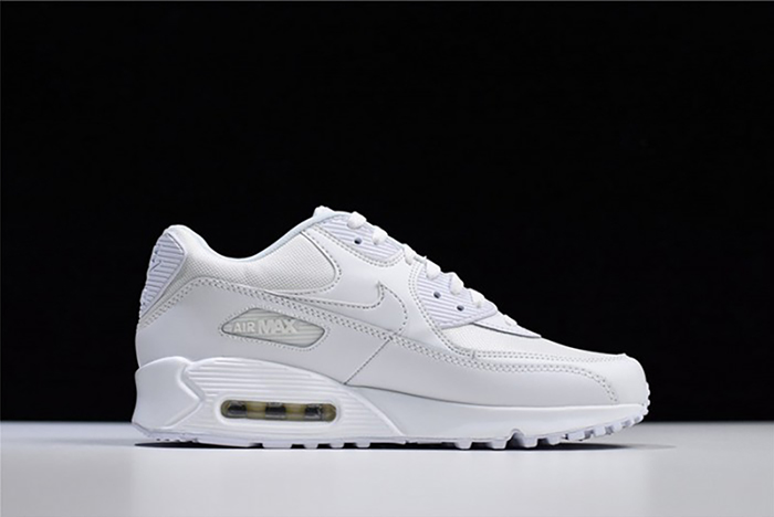Nike Air Max 90 Essential | White 537384-111