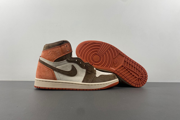 Jordan 1 Retro High OG SP Dusted Clay FQ2941-200