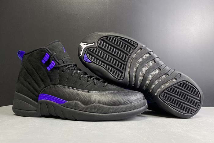 Air Jordan 12 “Dark Concord” CT8013-005